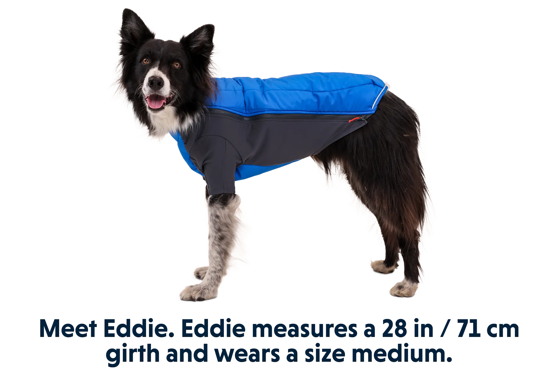 Powder Hound™ Dog Jacket