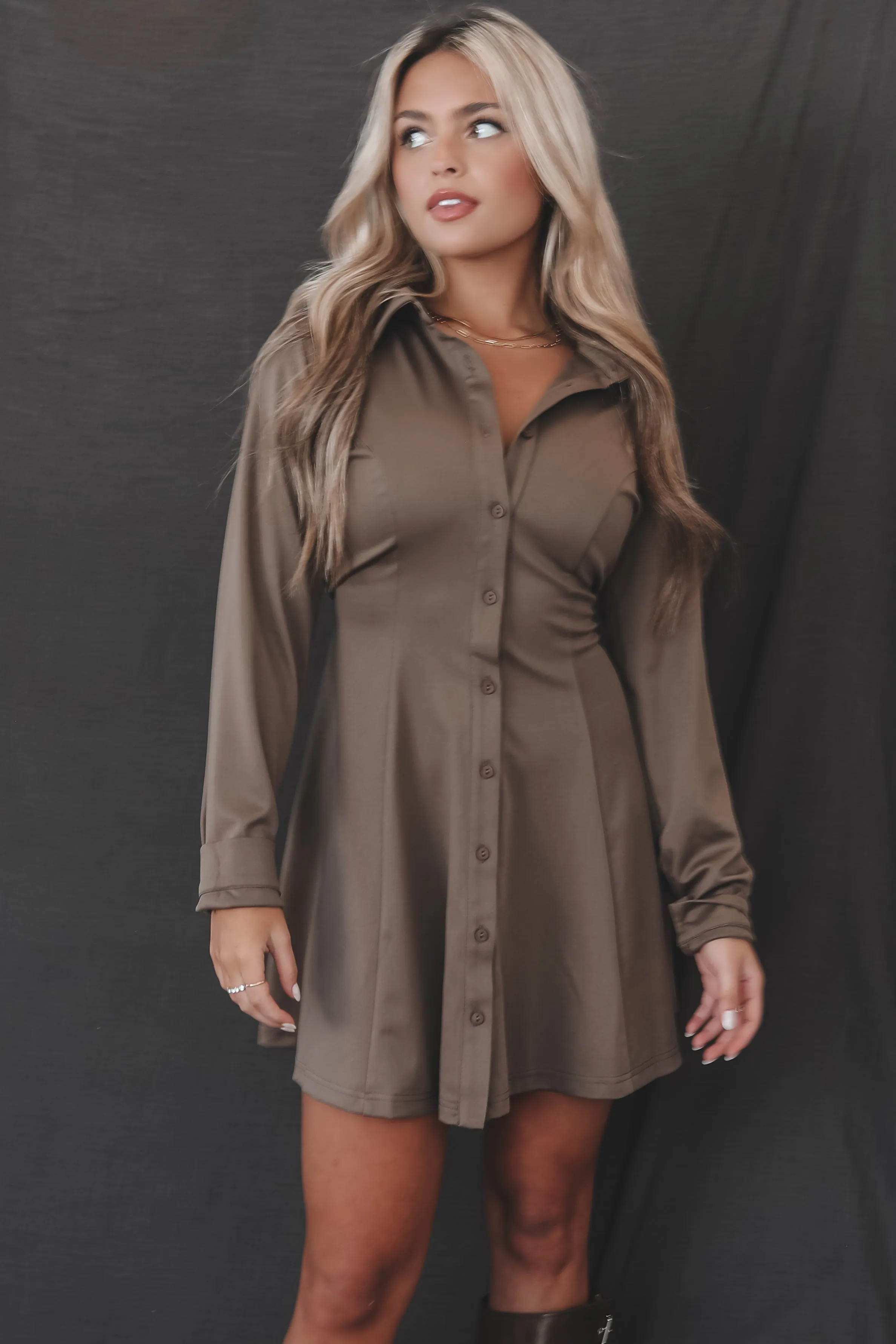 Sadie & Sage Full of Charm Flare Shirt Dress